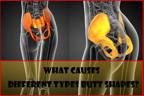 girls with a bubble butt|The 5 Different Types of Butt Shapes, Explained